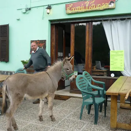 Il Fungo Bed & Breakfast Sassello